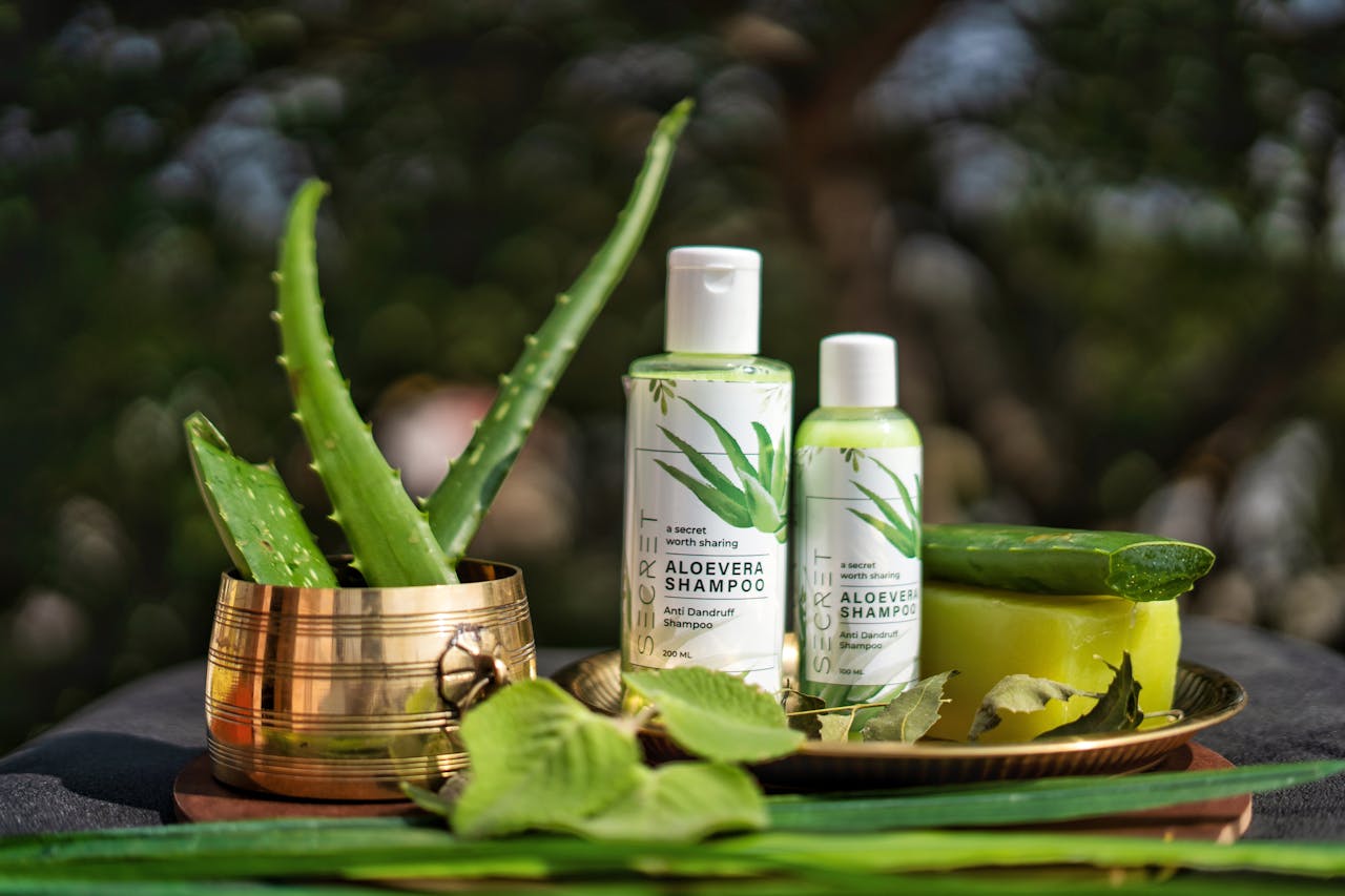 services-01 Aloe vera haircare products displayed with natural elements in an outdoor setting.